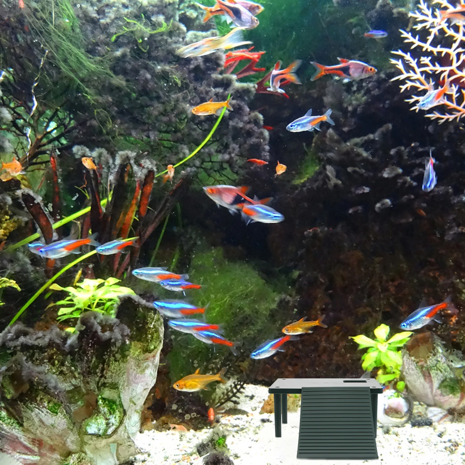 

Turtle Basking Table Green Plastic Reptiles Platform Aquarium Decor Tortoise Tank Floating Island Durable Safe