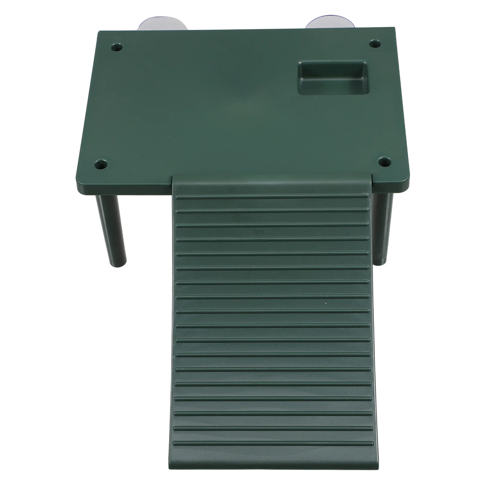 

Sturdy Platform Floating Dock For Aquarium Tank Reptile Climbing Ramp Amphibious Habitat Accessories Large Turtle Floating