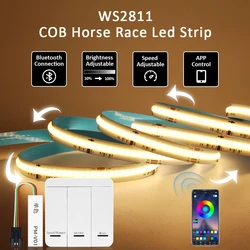 흐르는 물 흐르는 COB IC LED 스트립 조명, DC 24V 픽셀, 블루투스 제어, 체이싱 효과, 플렉스 리본, 5M, 10M 테이프 램프, WS2811