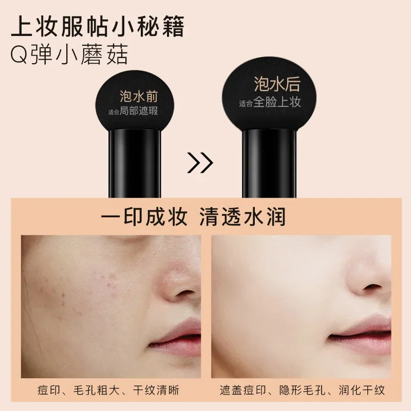 VENZEN BB Air Cushion CC Cream Foundation Concealer Mushroom Head Whitening Waterproof Brighten Face Base Tone Korean Makeup