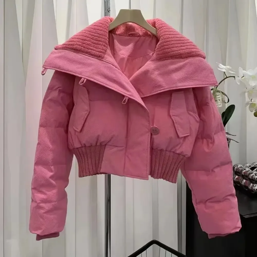 Parkas cortas de otoño e invierno para mujer, chaquetas informales con cuello levantado y cremallera, prendas de vestir, abrigos, chaquetas de invierno para mujer, Parkas, 2024