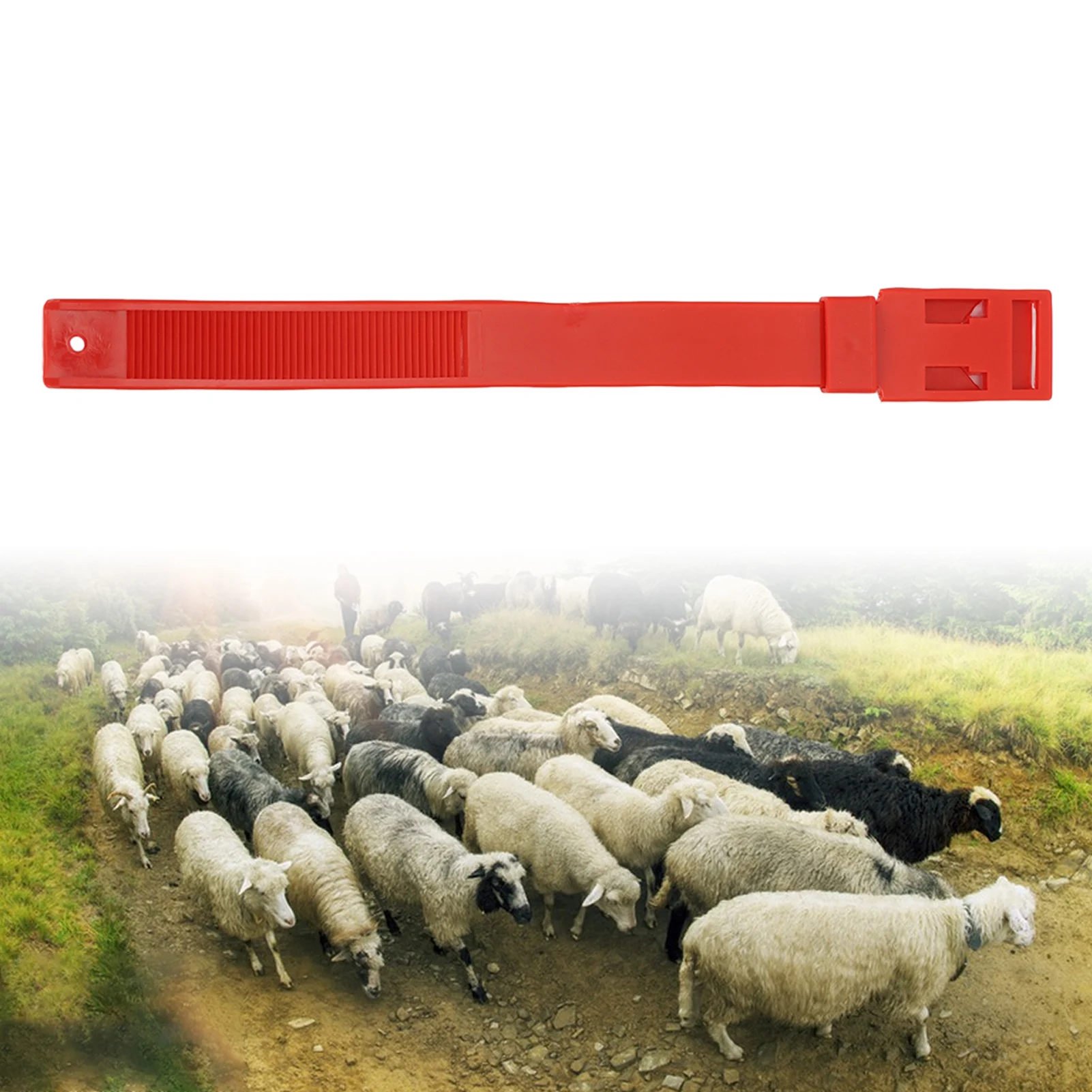 10Pcs Goat Leg Ring Sheep Identification Bands Livestock Marking Ring Farming Equipment 36cm