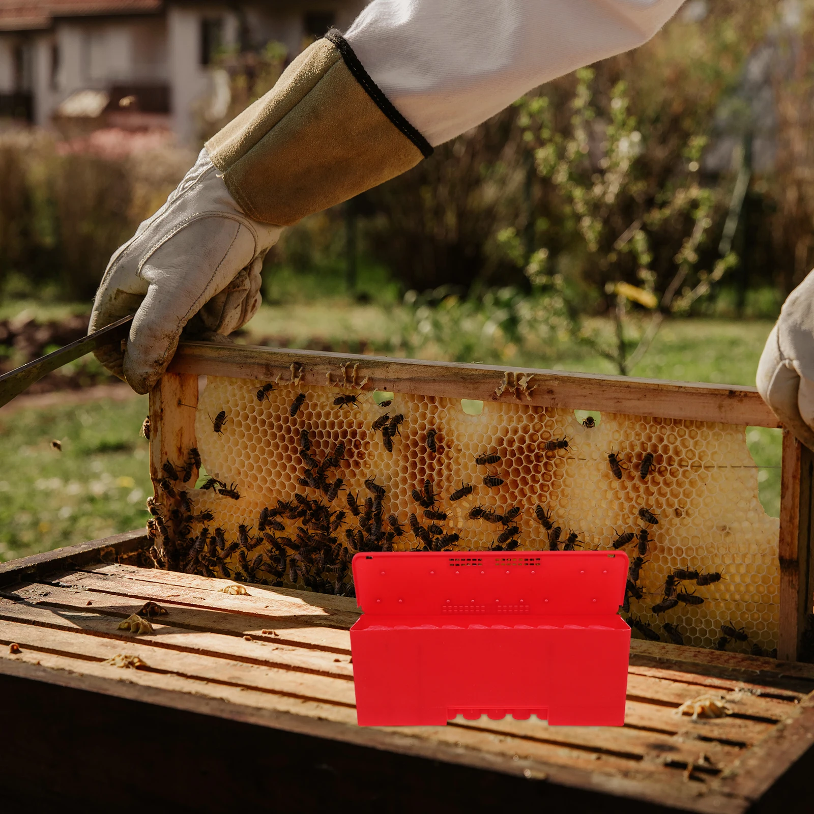 

1 set Transport Box Safe Storage Hive Tool Beekeeping Cage Protector Efficient Queen Confinement Portable Catcher