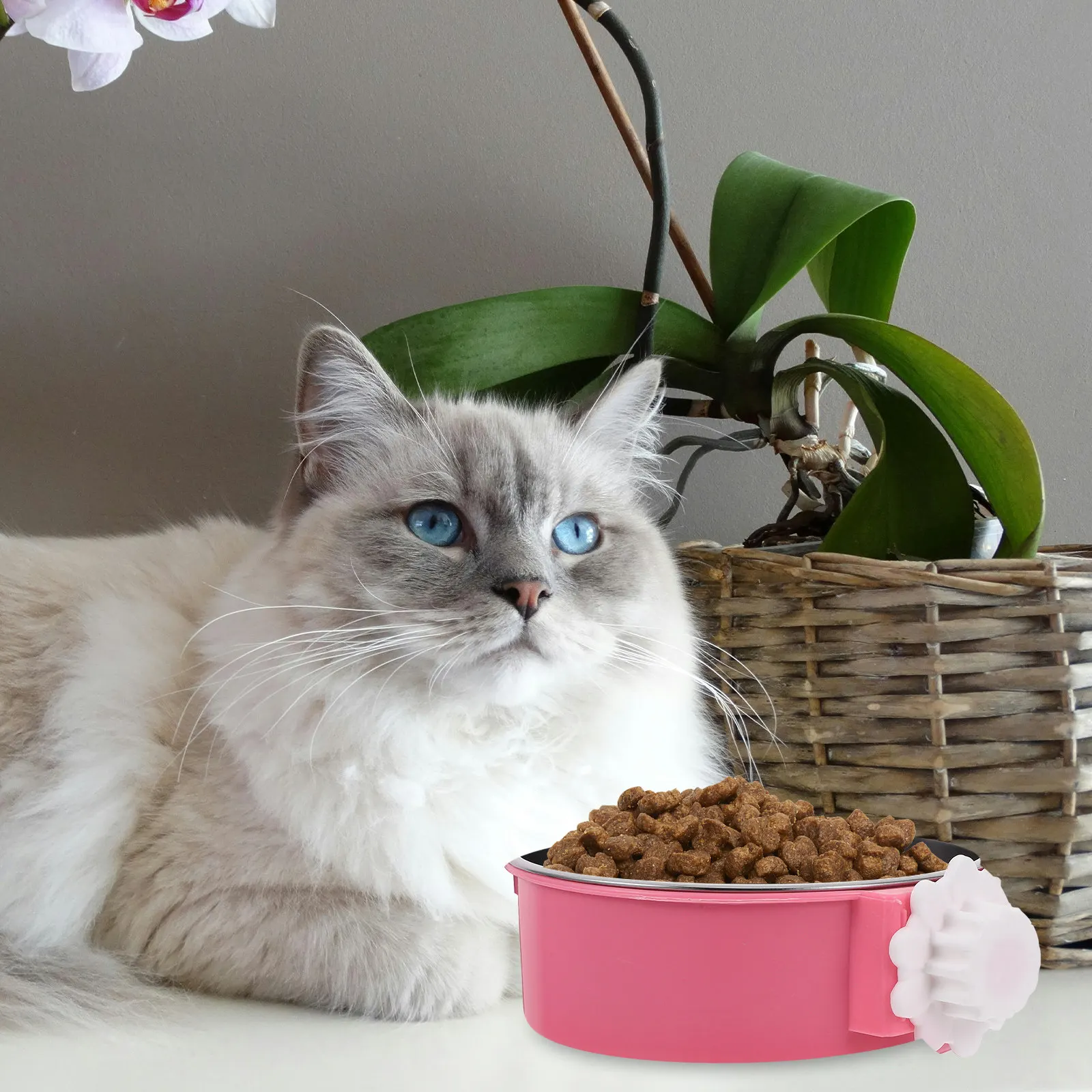 

Подвесная миска для животных из нержавеющей стали, розовая, размер L, неопрокидывающаяся, для собак и кошек, безопасная, экологичная, с гладкой поверхностью