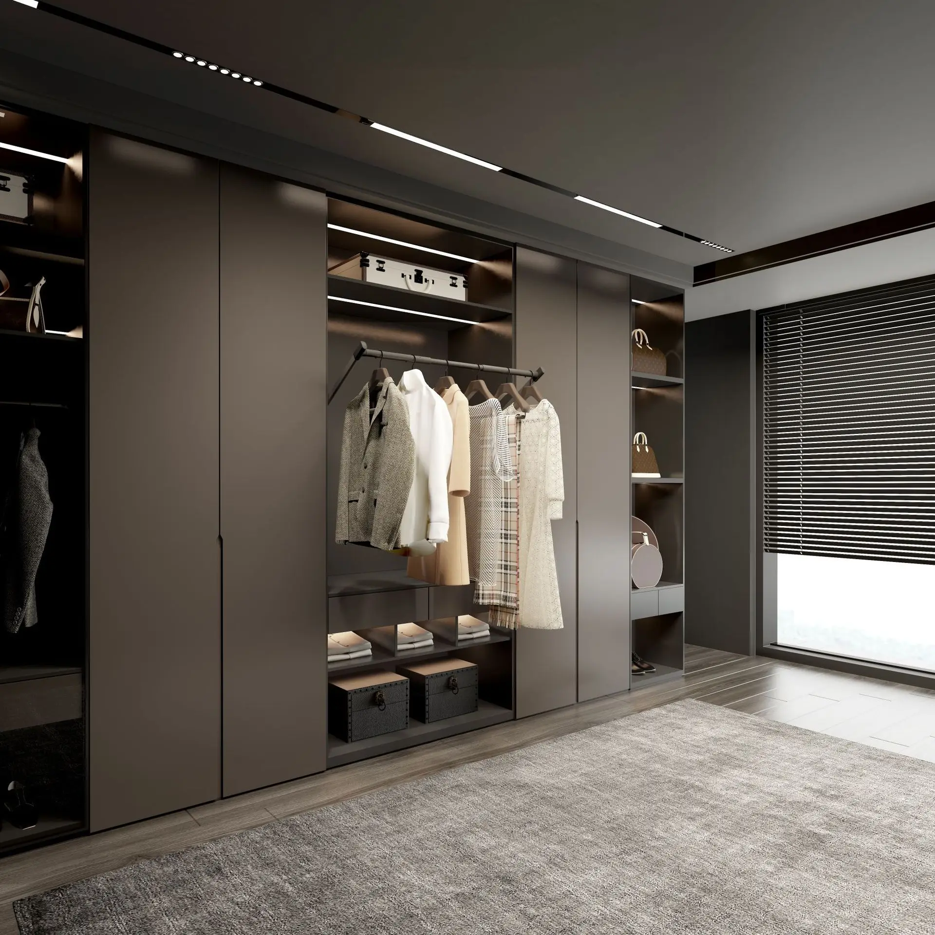 Lifting clothes rod storage cabinet, wardrobe lift, smart home wardrobe