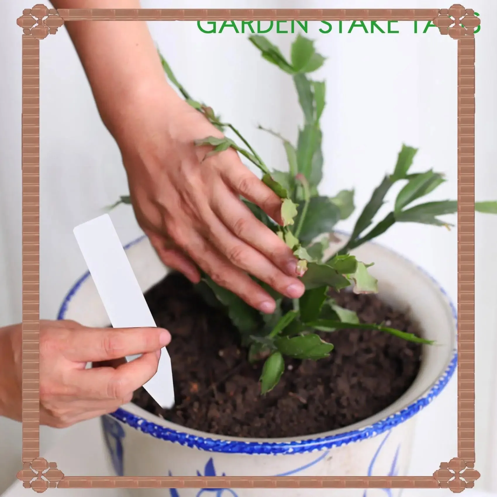 40pcs 2-Inch Plastic Plant Labels for Nursery Garden Stakes Pot Markers Plant Tags