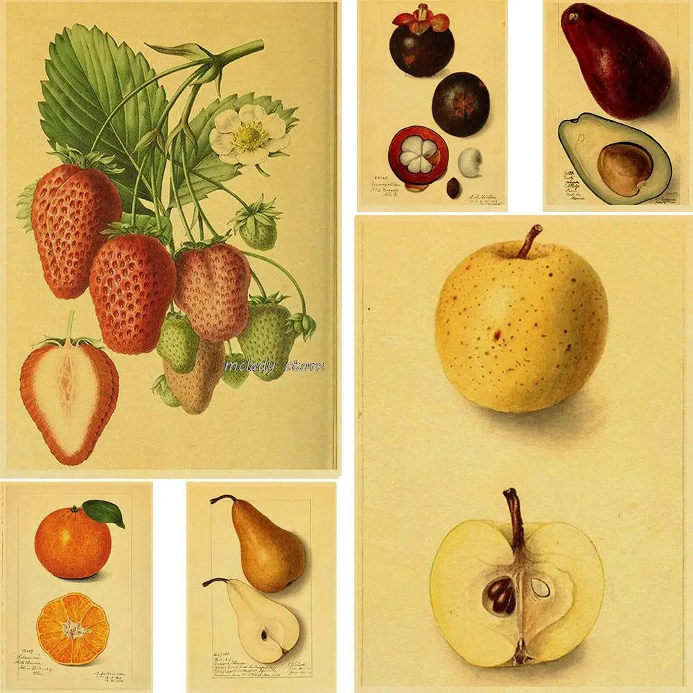 Vintage Vegetable Fruit  Poster Print Antique Wall Art Print Botanical Picture Science Poster Kitchen Decoration