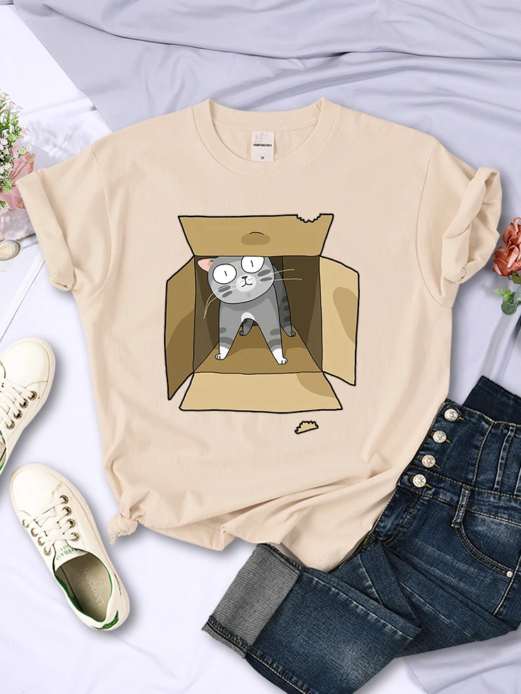 Cats Hiding In Cartons T Shirt Women Summer Crewneck Oversize Tshirt Korean Fashion Funny Crop Top Streetwear Hip Hop Clothes