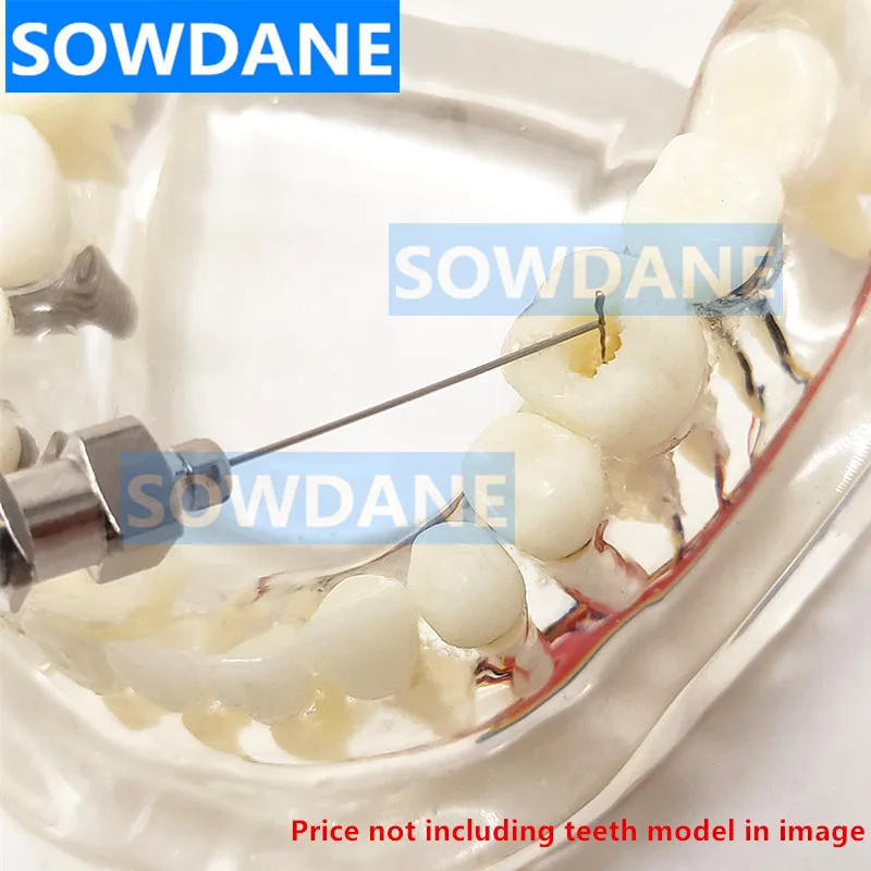 1 zestaw Dental Root Canal File Extractor Holder specjalne narzędzia dla dentystów narzędzie stomatologiczne narzędzie