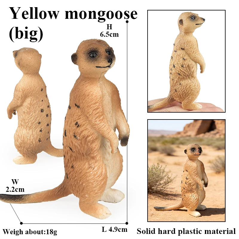 Oenux Simulation Neue Wilde Tierfiguren Stehende Wüsten-Meerkatze Otter Nutria Modell Actionfiguren Kinder-Lernspielzeug Geschenk – Detail 4
