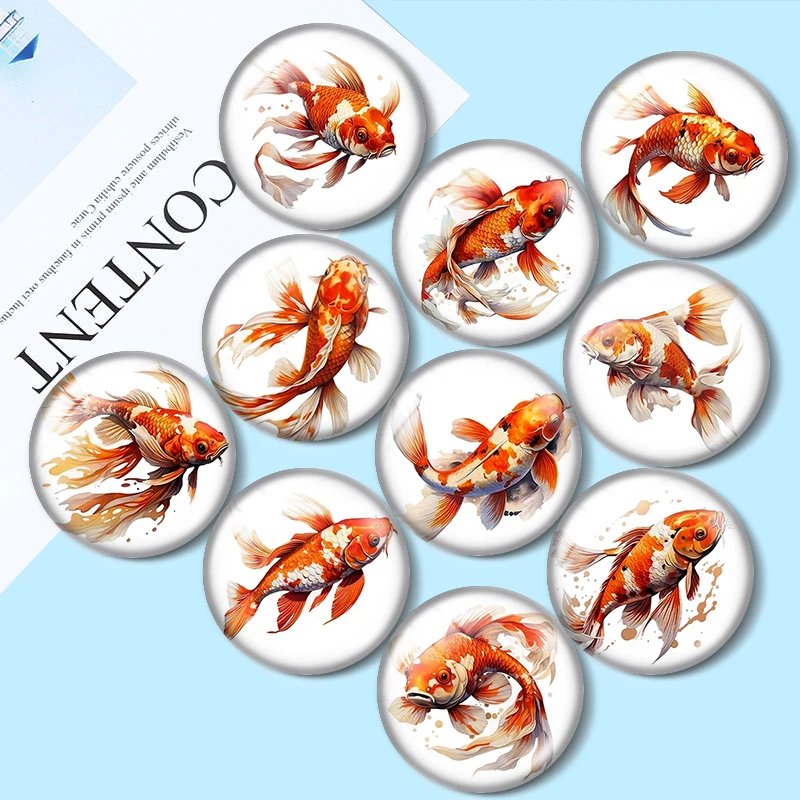 Fantasy Goldfish  12/18/20/25mm glass cabochon  bracelet pendant rings for jewelry demo earrings back Making findings