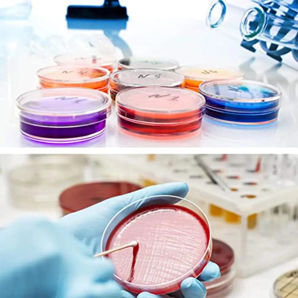 Biological Plastic Transparent 90x15mm 55x15mm Clear Petri Dish Bacteria Culture Dish Sterile Petri Dishes Petri Dishes