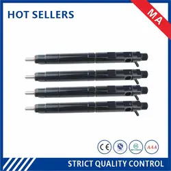 EJBR03301D EJBR03701D EJBR05301D EJBR02801D EJBR02901D EJBR06101D Common Rail Diesel Injector For Delphi with good quality ensur