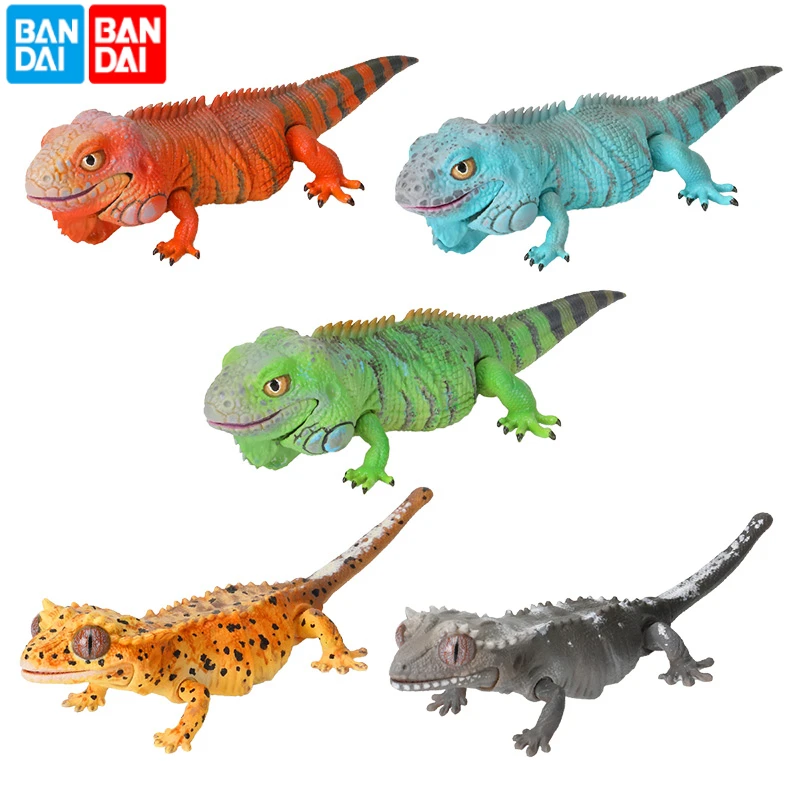 Original Bandai Gashapon Big Biological Map Lizard Ciliary Horn Gecko Qversion Animal Action Figure Model Toys Gifts Collection