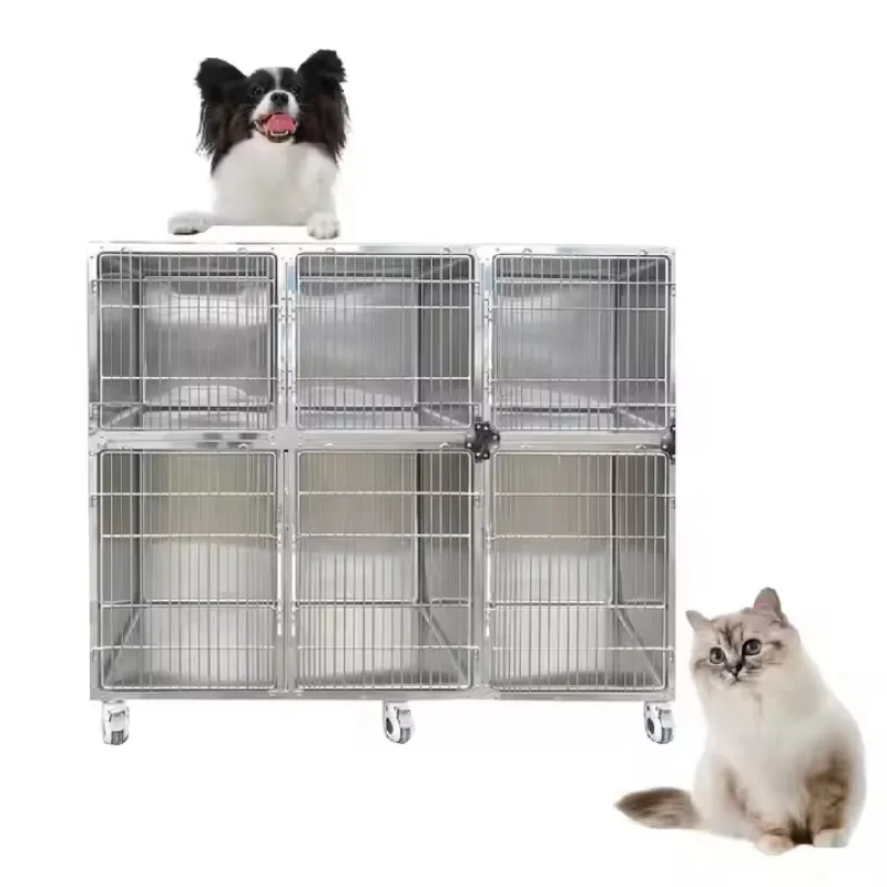 Pet Animal Hospital Clinic Stainless Steel 6 Rooms Cat Dog Convalescent Cage Ward For Infusion