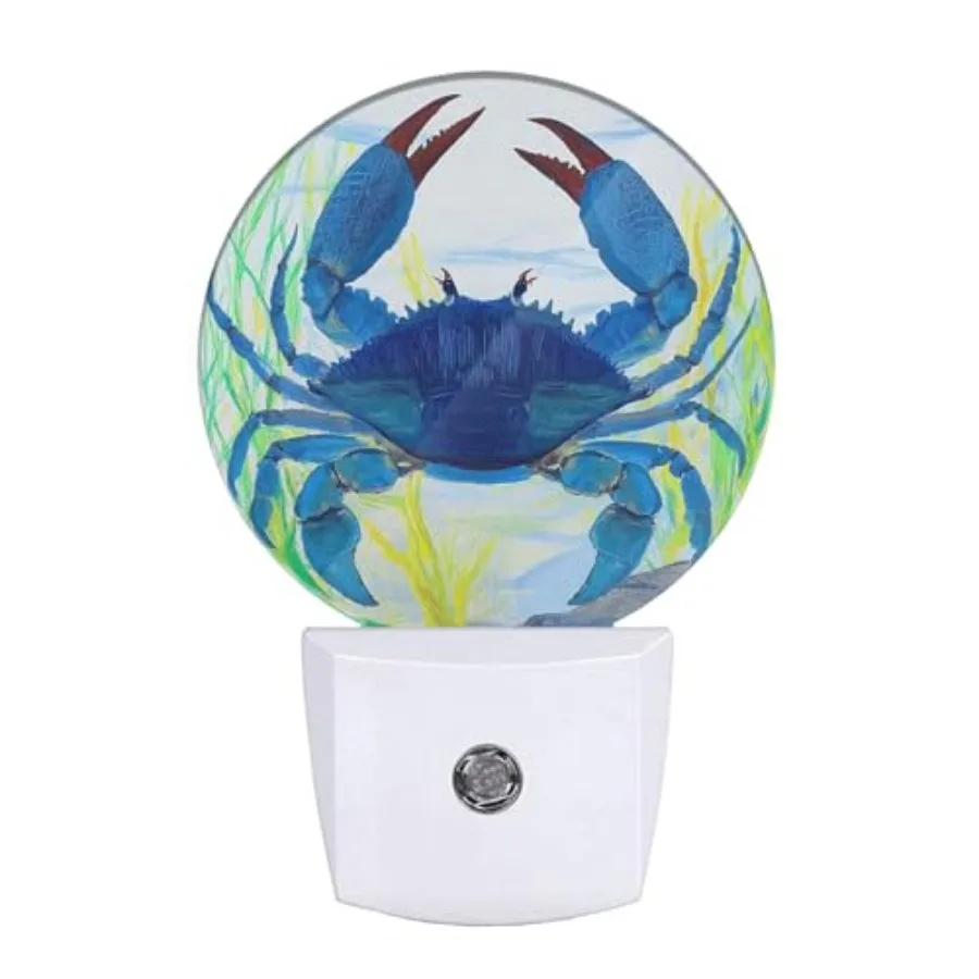 

Night Light Shellfish Sea Grass Night Lights Plug into Wall 0.5W LED Lighting Auto on/Off for Hallway Stairway Kitchen Home Dec