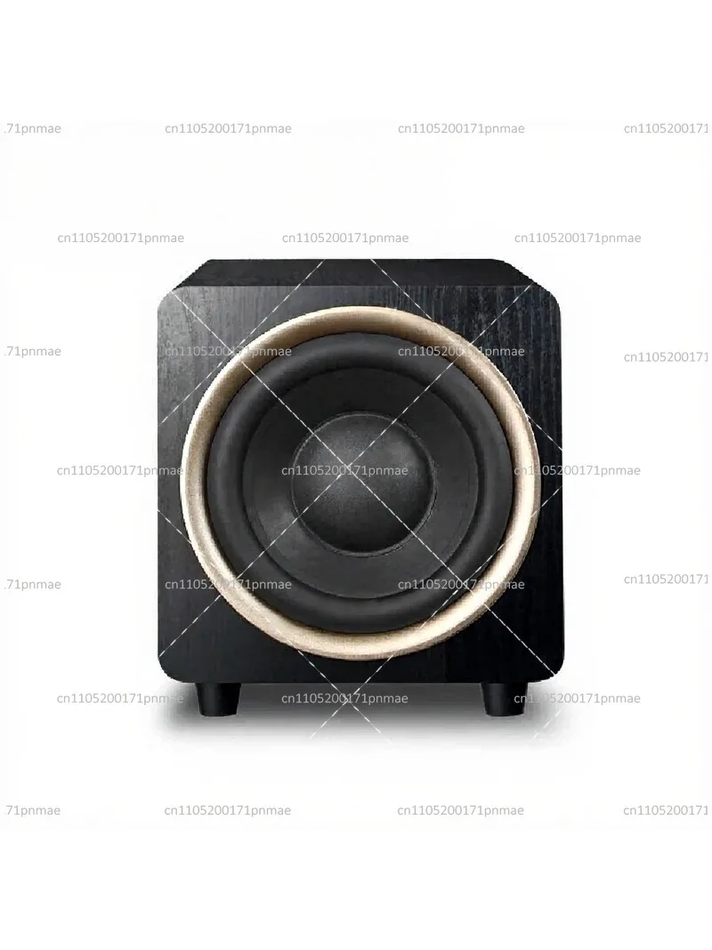 10-Inch Passive Subwoofer for Home Theater, 5.1 Channel Sound System Compatible with SA-900 Amplifier