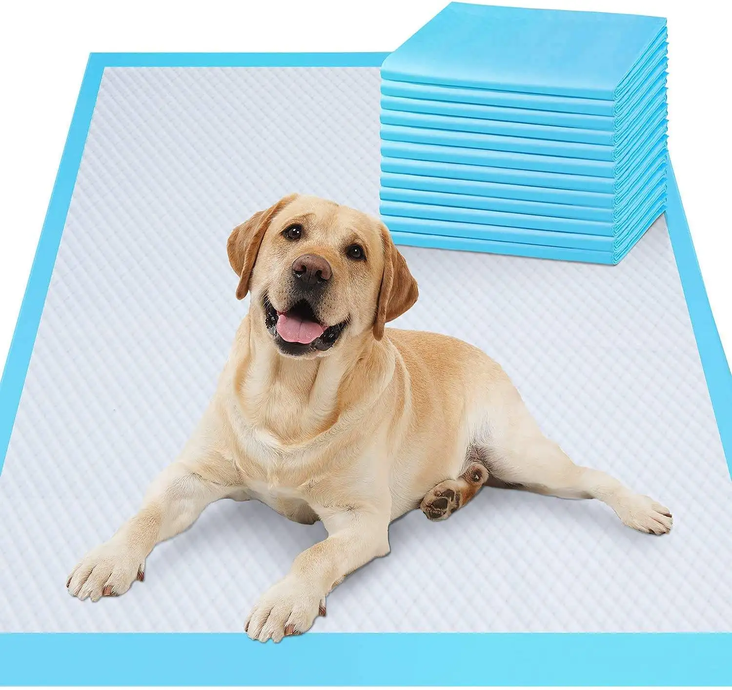 Disposable Dog Urine Pad Pet Training Pad Puppy Urine Pad