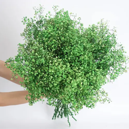 80g Mix Gypsophila Baby Breath Dried Flower Bouquet Boho Wedding Photo Prop Decoration Preserved Gypsophile Home Room Vase Decor - Image 10