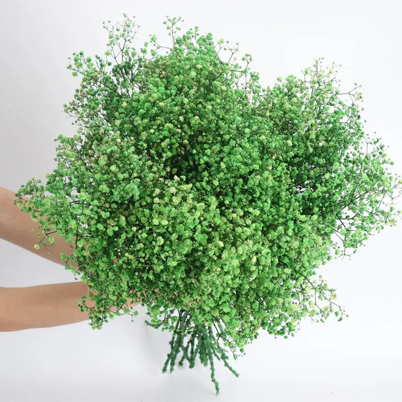 80g Mix Gypsophila Baby Breath Dried Flower Bouquet Boho Wedding Photo Prop Decoration Preserved Gypsophile Home Room Vase Decor - Image 10