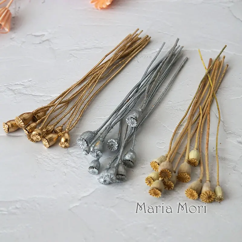 10 Stück/konservierte Blumen, Mais Mohn, Obst, Heimdekoration, DIY-Material, Kristallkleber, handgefertigte Kerzen, Epoxidharzblumen, Gold, Silber – Detail 11