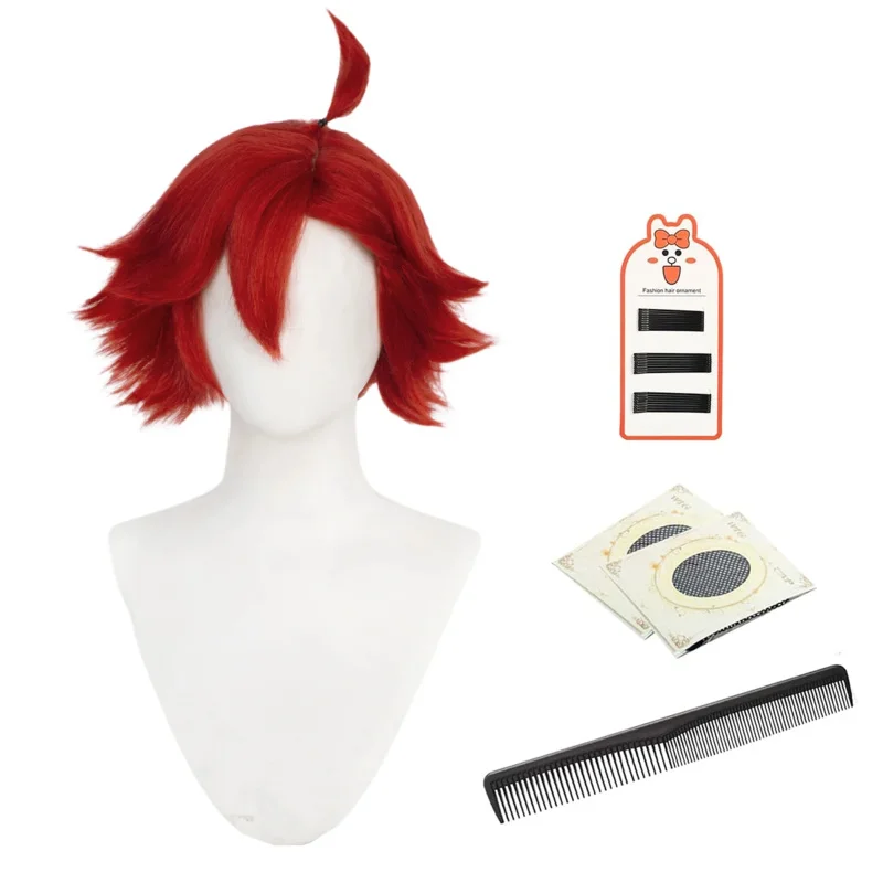 HOLOUN Sulletta 머큐리 코스프레 가발, 내열성, 머큐리 가짜 머리카락 버건디, 할로윈 크리스마스 새해 선물