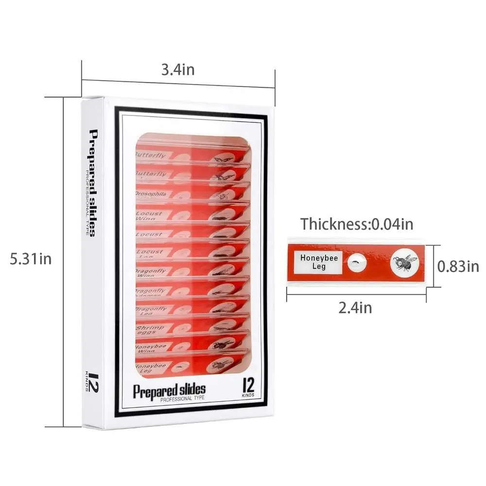 Prepared Microscope Slides for Kids, Plastic Animals Insects Plants Flowers Sample Specimens for Students Children