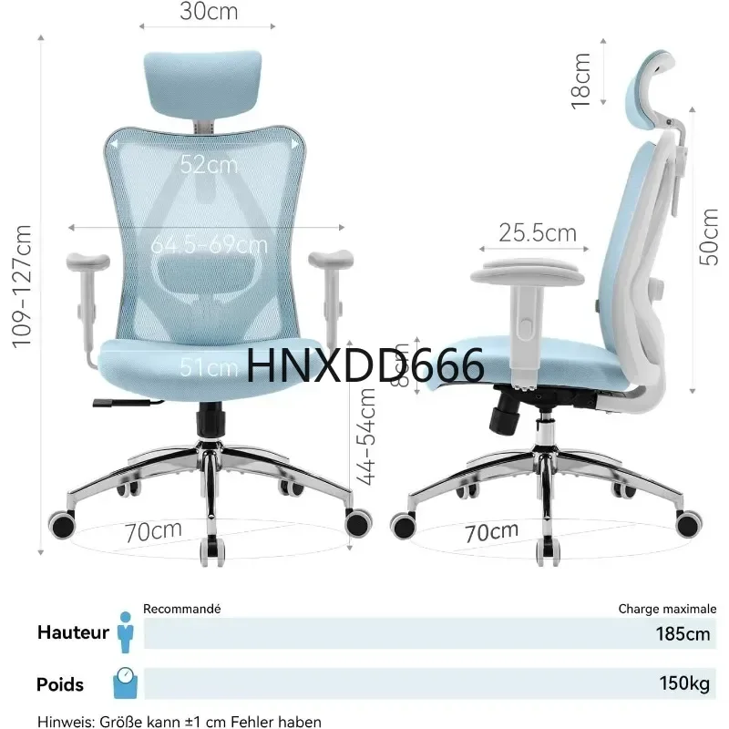 

M18 Ergonomic Office Chair, Computer Desk Chair with Adjustable Headrest and Lumbar Support