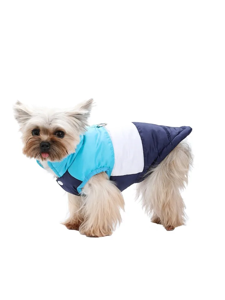 Manteau avec anneau en D pour chat, gilet chaud et doux, veste pour petits et moyens chats, chiens britanniques à poils courts, Sphynx, tenues pour animaux de compagnie, automne et hiver