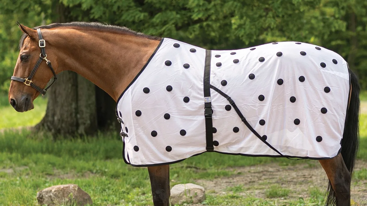 Horse Blanket Customized Standard Mesh Sheet Blanket Magnet Horse Rug