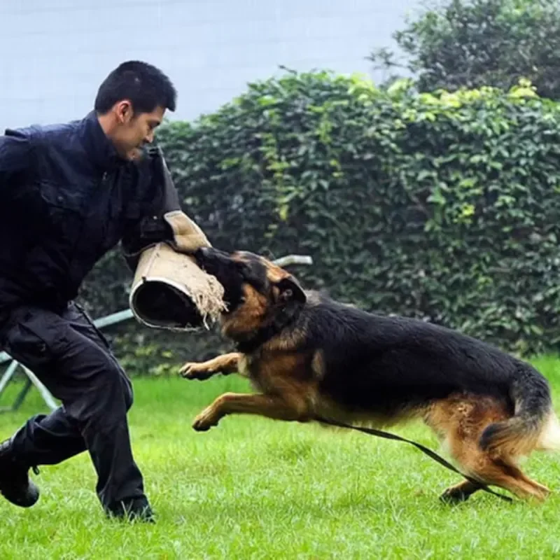 Dog Training Protective Equipment ,Dog Trainer Professional Tools ,Hemp Sleeve Biting Target ,Working Dog Training Bite