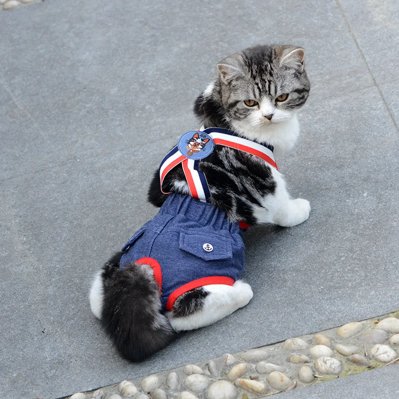 Denim-Höschen für Französische Bulldoggen, physiologische Höschen mit Punkten für weibliche Hunde, Sicherheits- und Hygienehöschen für kleine und mittelgroße Hunde, Katzen, Haustier-Shorts – Detail 8