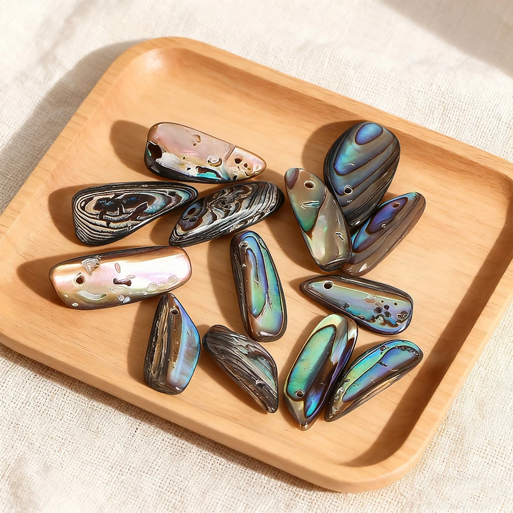 6pcs Natural Abalone Paua Shel - Jewelry Making New Zealand 评论和价格