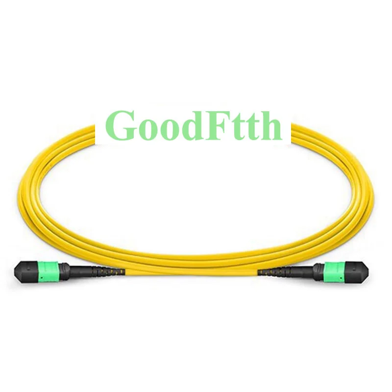 Patch Cord MPO(F)-MPO(F) SM 24C Type A Trunk Cable MPO to MPO Female 1-100m