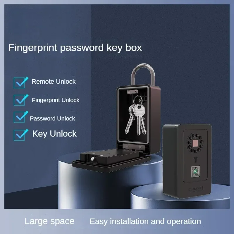 Smart Lock Decoration Fingerprint Password Key Box Homestay Wall-mounted Storage Box Password Lock Metal Anti-theft Door Cat Eye