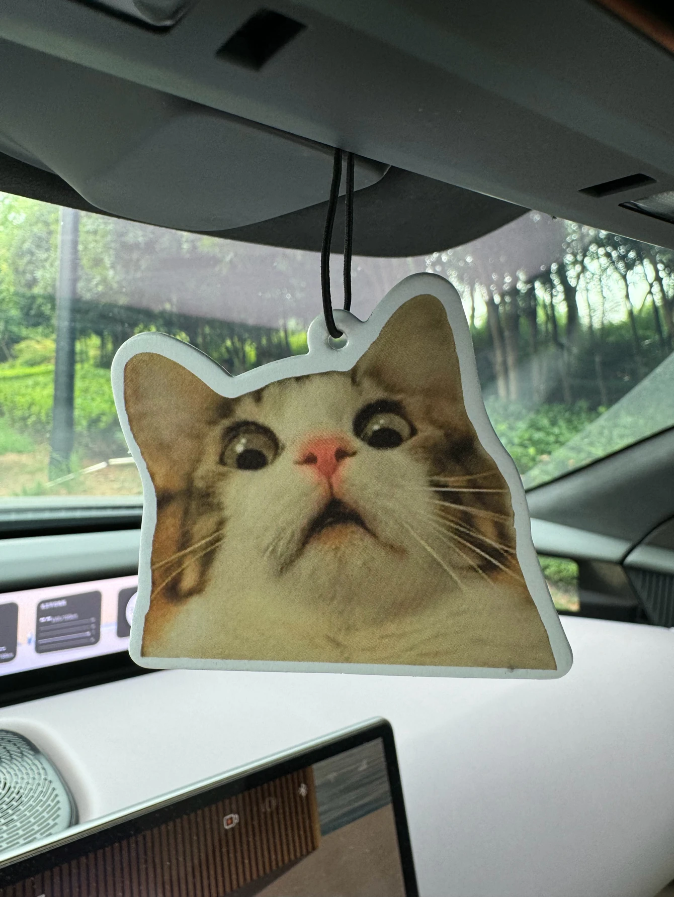 El colgante de ambientador para coche con diseño de gato impactado y sorprendido dura durante 90 días, fragancia natural para hotel de cinco estrellas (al aroma de perfume de calidad de tienda de lujo igual que el vestíbulo global del hotel)