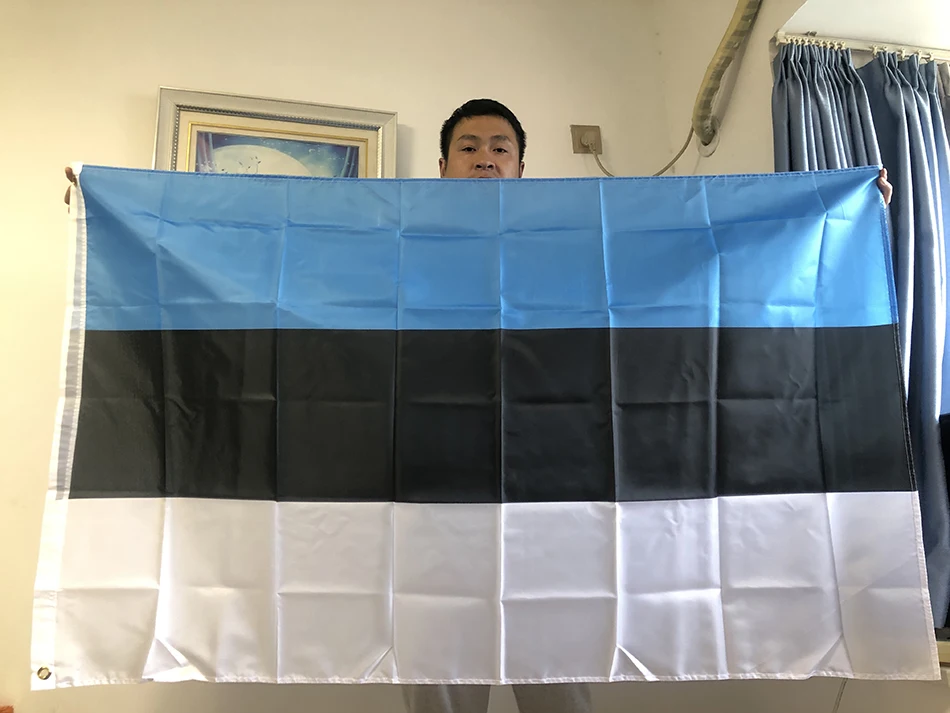 SKY FLAG Estonia flag Banner 90*150cm high quality polyester Hanging Estonia National flag For home Decoration And activity