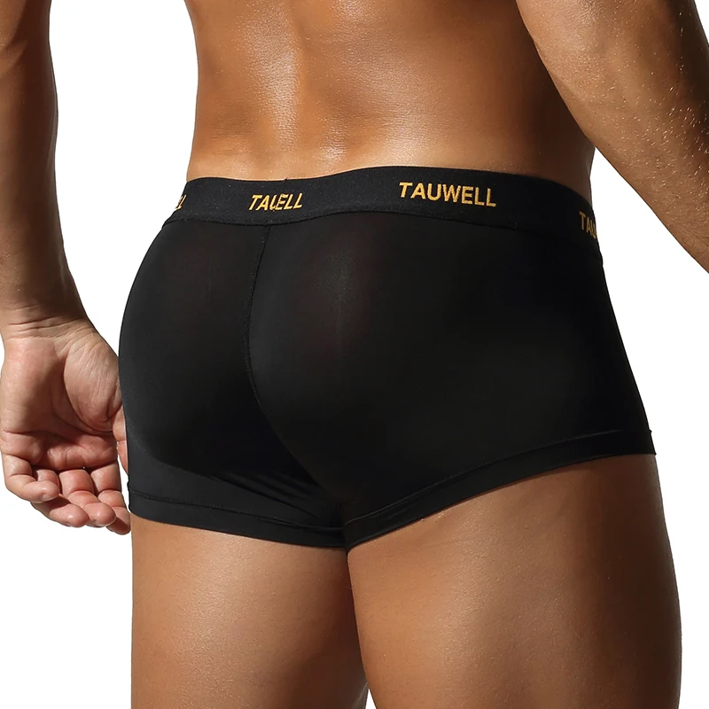 TAUWELL Intimo da uomo, comodo, fresco, sottile, sexy, semi-trasparente, con slip a gamba piatta e tasca a forma di U