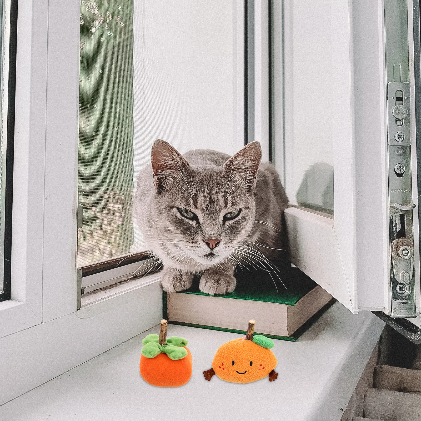 

2Pcs Cat Chewing Interactive Teething Balls Fruit Teaser Sticks Indoor Outdoor Catnip Accessories for Kittens Teething