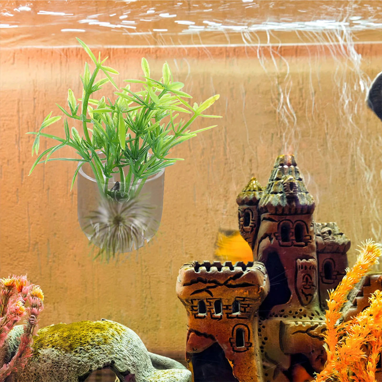 

6Pcs Aquatic Plant Cups Aquarium Feeder for Shrimp Bait Holder Red Worm Food Dispenser Fish Tank Accessories Supplies