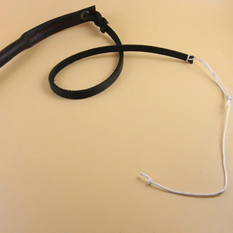 سوط الحصان، سوط تدريب الكلاب