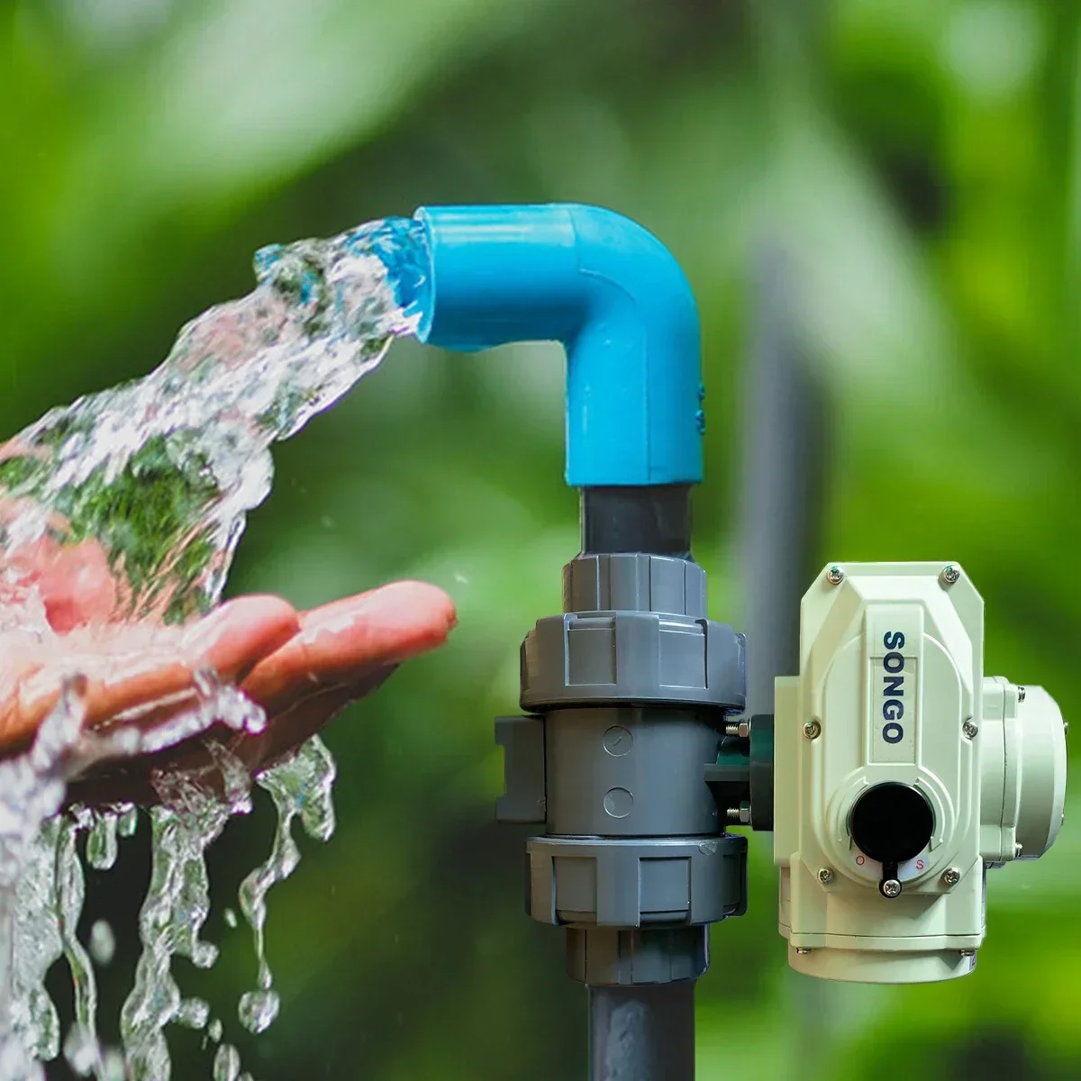 Z For Songo Dn50 2 …