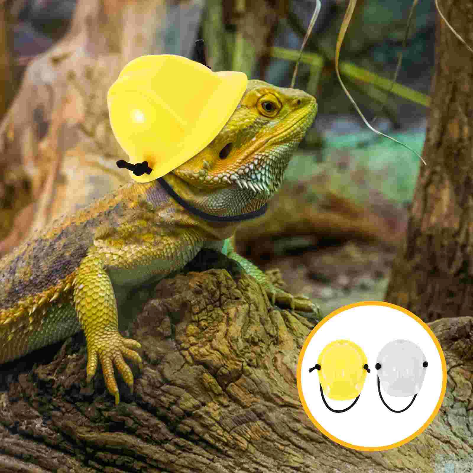 2 Pcs Dog Hard Hat Costume Pet Dress up Decorative Crawl Mini Stylish Bearded Dragon Toy