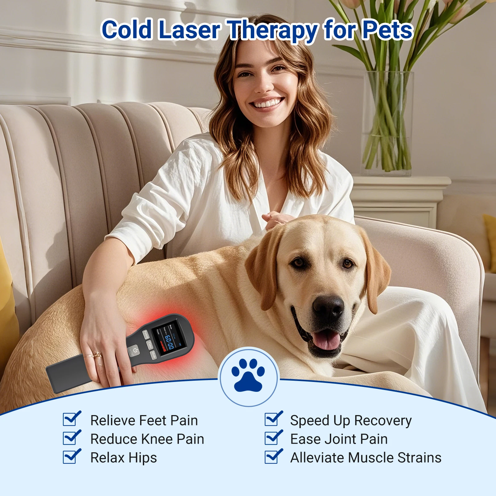 Horse Red Light Therapy Low Level Laser Light Therapy Veterinary Equipment for Dogs Pain Relief Injury Wound Healing