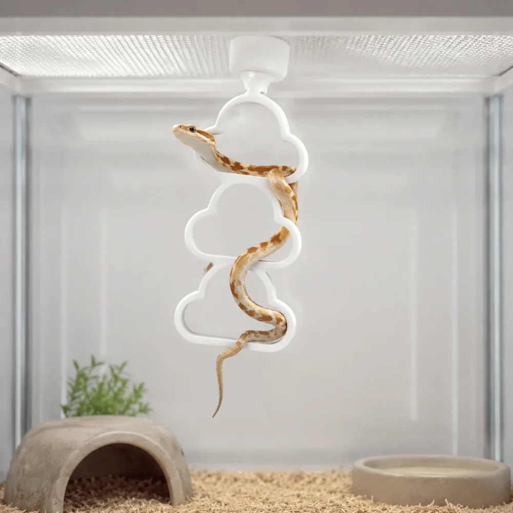 Picture 3: Enrichment Hanging Reptile Climbing Ring Plastic Cloud Shape 3-Ring Climber Multi-Level Exercise Snake Climbing Vivarium Cage
