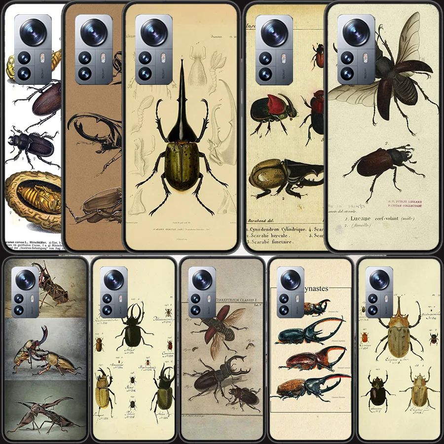 Bugs bees scientific decomposition Phone Case For Xiaomi Poco X6 X5 X4 X3 GT NFC M4 M5 Pro 5G M3 Mi F6 F5 F4 F3 F2 F1