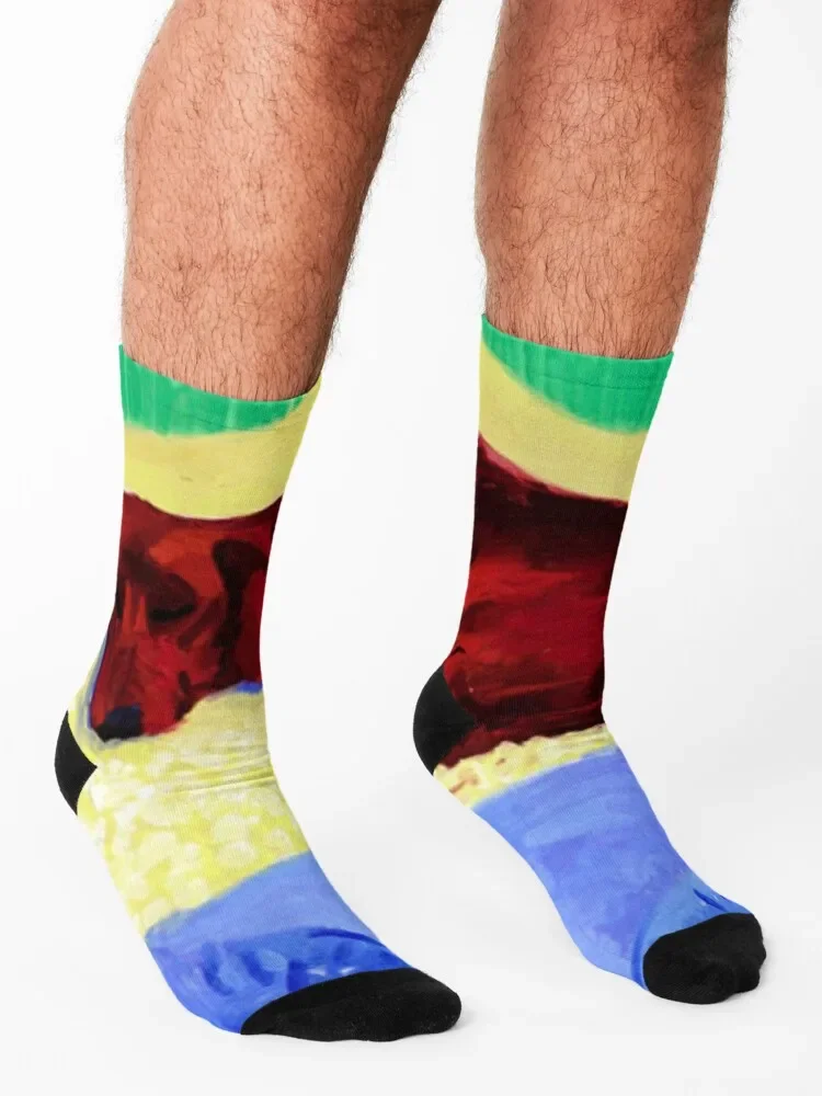 ديفيد هوكني 1995 المعرض الأصلي 'الكلب 43' ملصق ملصق الجوارب سعيد أنيمي تسلق الجوارب للرجل المرأة