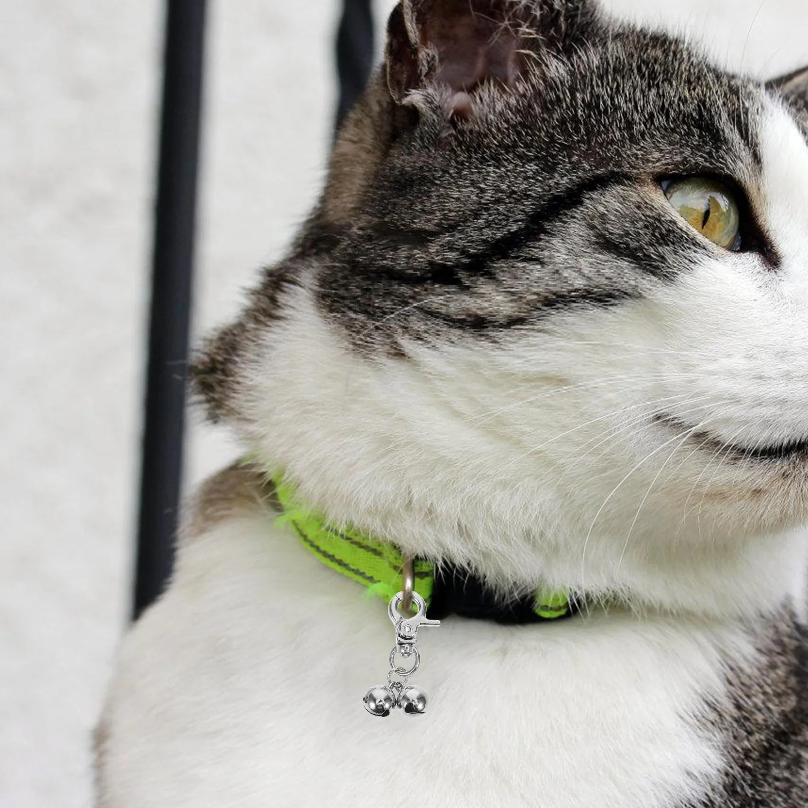 

2Pcs Delicate Dog Collar Bells Necklace For Pets Stainless Steel Pendant Accessories Stylish Holiday Gift