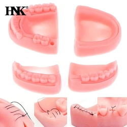 Módulo de entrenamiento de sutura Oral/de goma Dental, modelo de sutura de Periodontitis de silicona, 2/4 piezas por juego