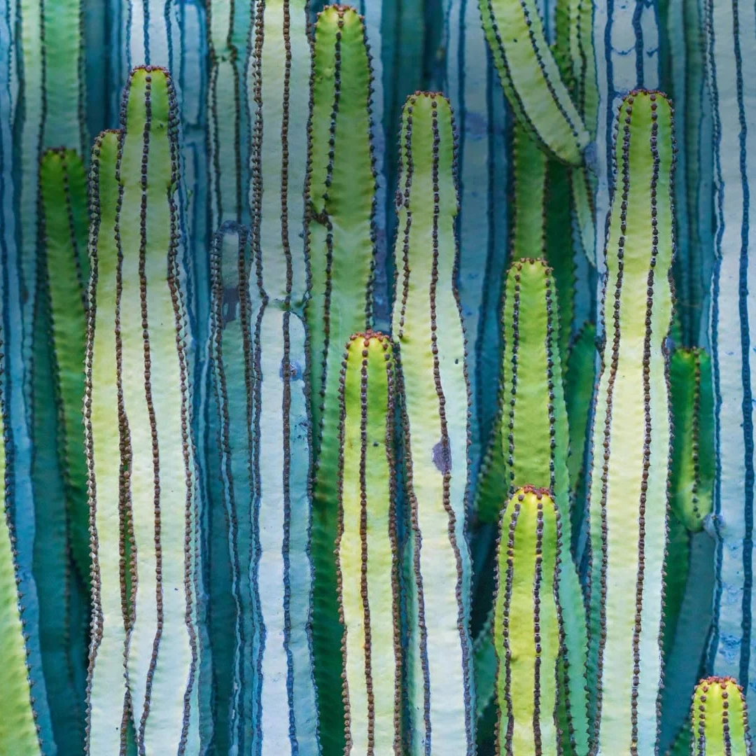 

Hh 12.3Inch 1920*720 Car Multimedia Screen For Jeep Wrangler 2011-2018 Digital Lcd Instrument Cluster Speedometer Dashboard Pane